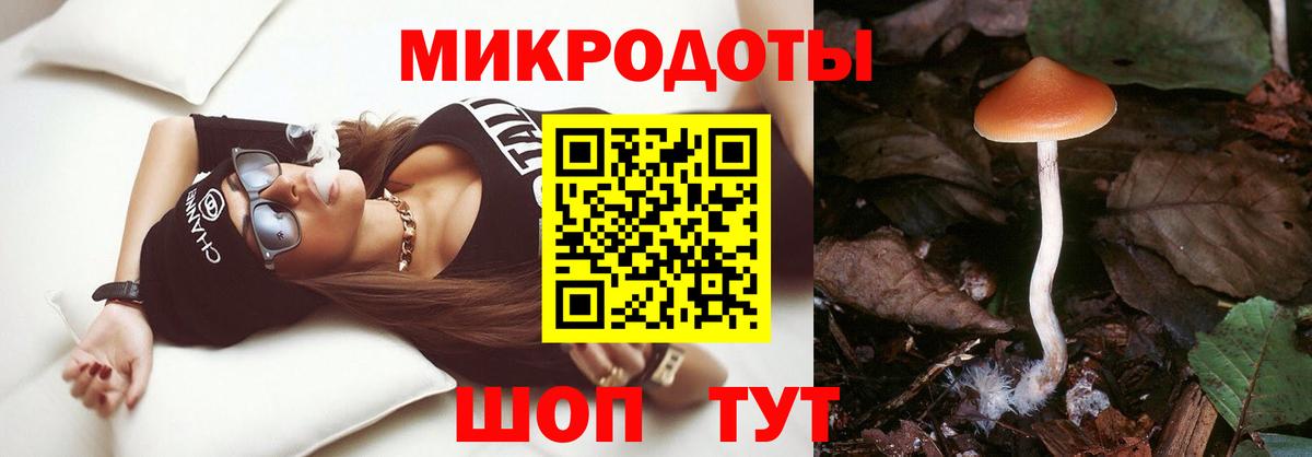 Галлюциногенные грибы мицелий  Вход с VPN  Северобайкальск 